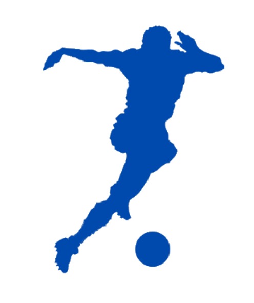 icon torneomanchagol